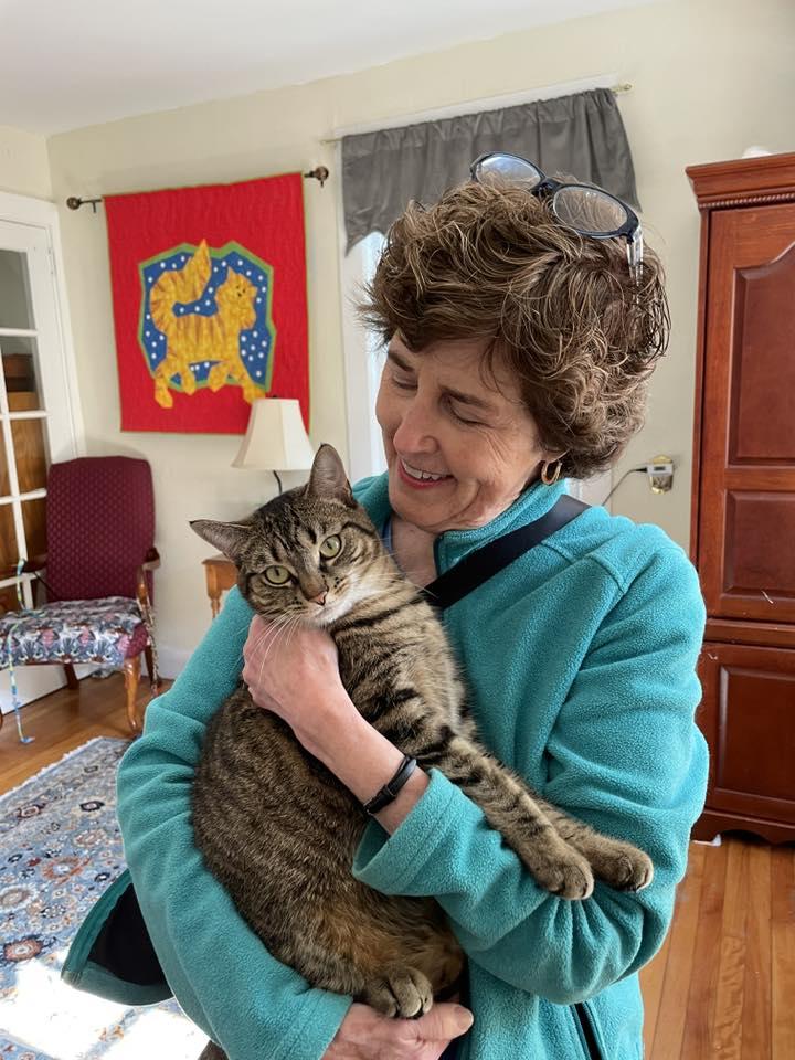 Maple & Sammy (F), a Adopted mixed breed in Bath, ME image 2/6