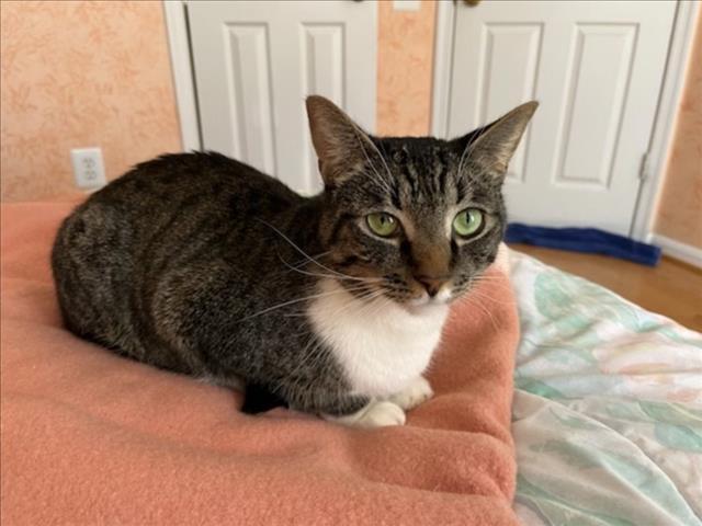 BANDIT — thumbnail 2