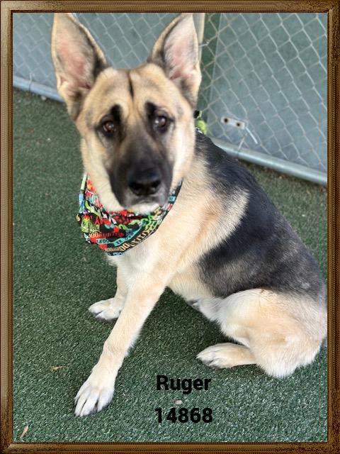 RUGER
