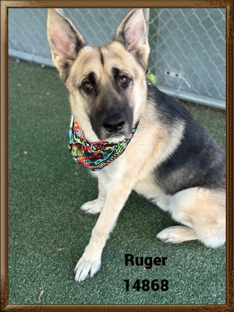 RUGER