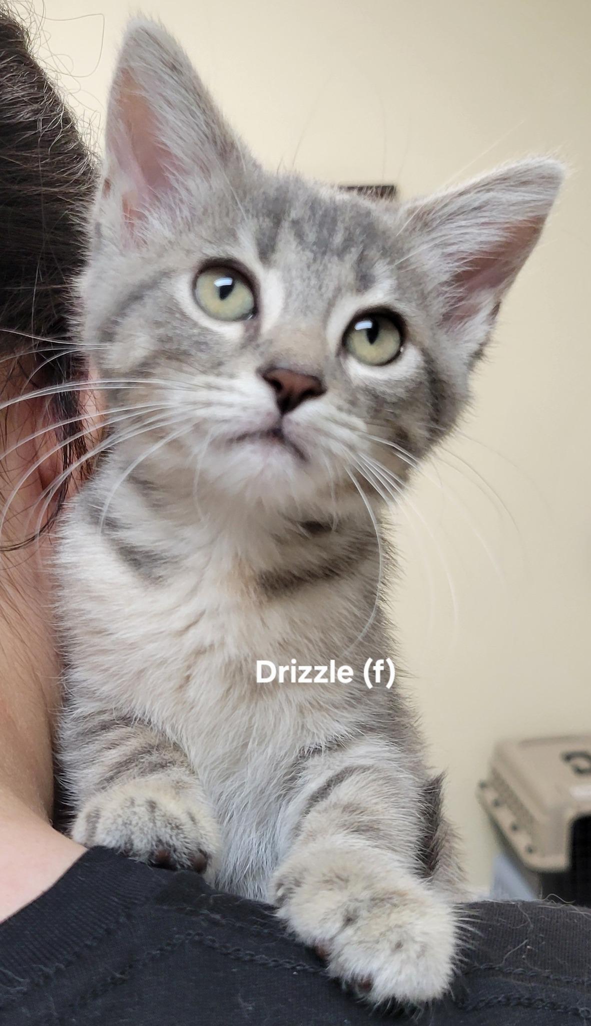 Drizzle