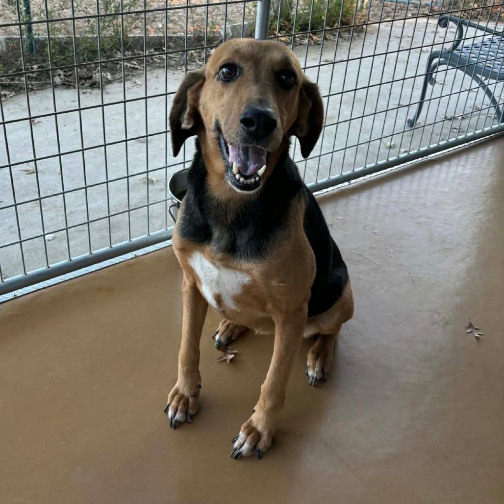 Bebe — thumbnail 2