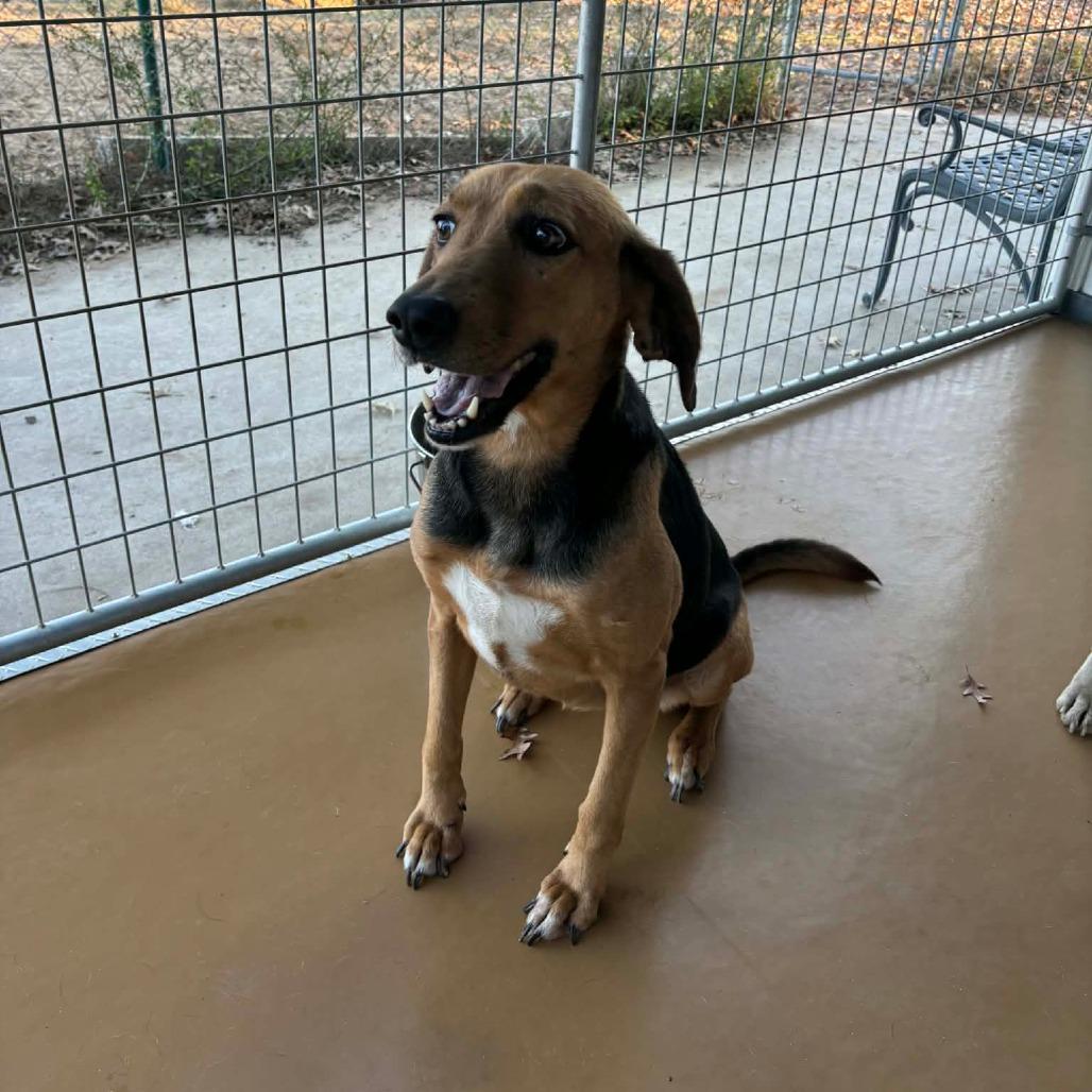 Bebe — thumbnail 3