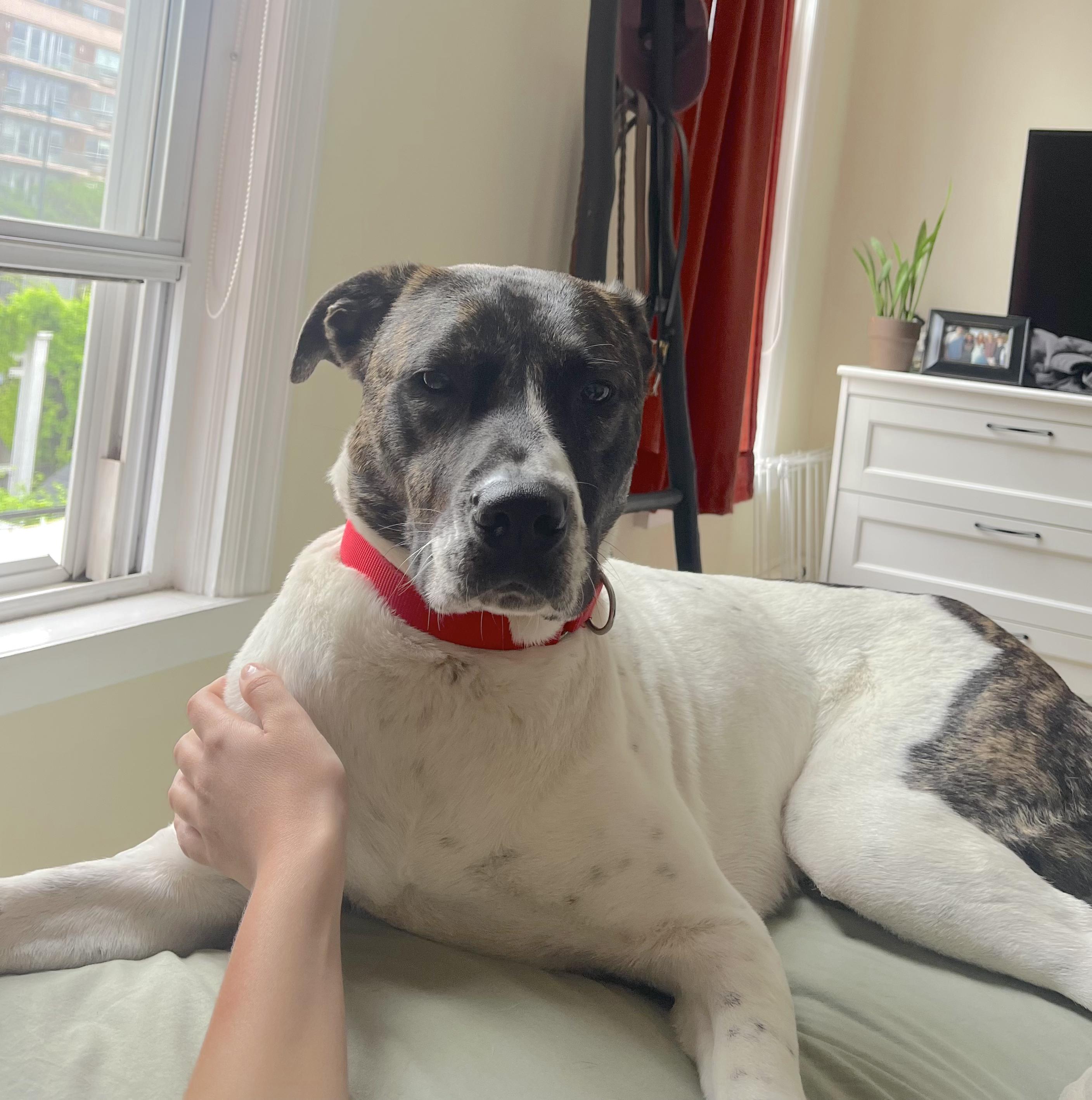 Penny — thumbnail 2