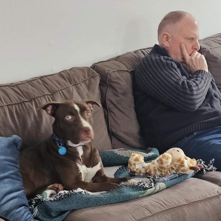 Enlarge Logan , a ADOPTABLE mixed breed in South Plainfield, NJ image 4/6