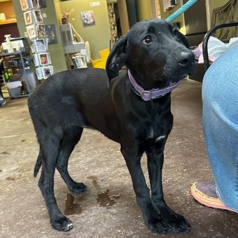 Anne Bonny — thumbnail 2