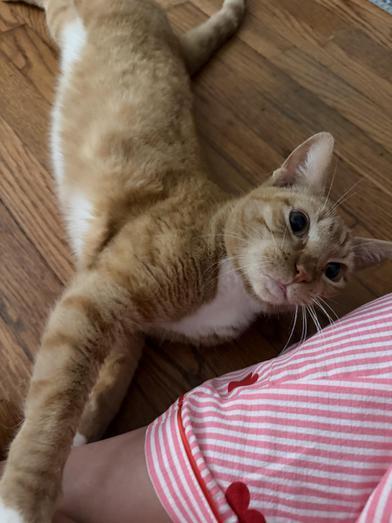 Charlotte — thumbnail 6