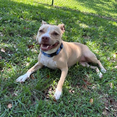 Kona — thumbnail 5