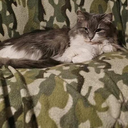 Queenie photo 2