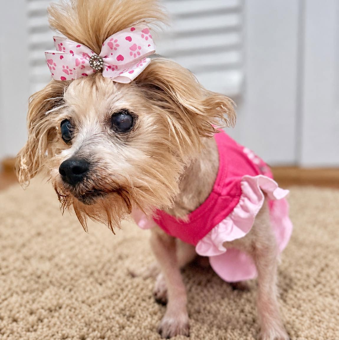 Ella photo