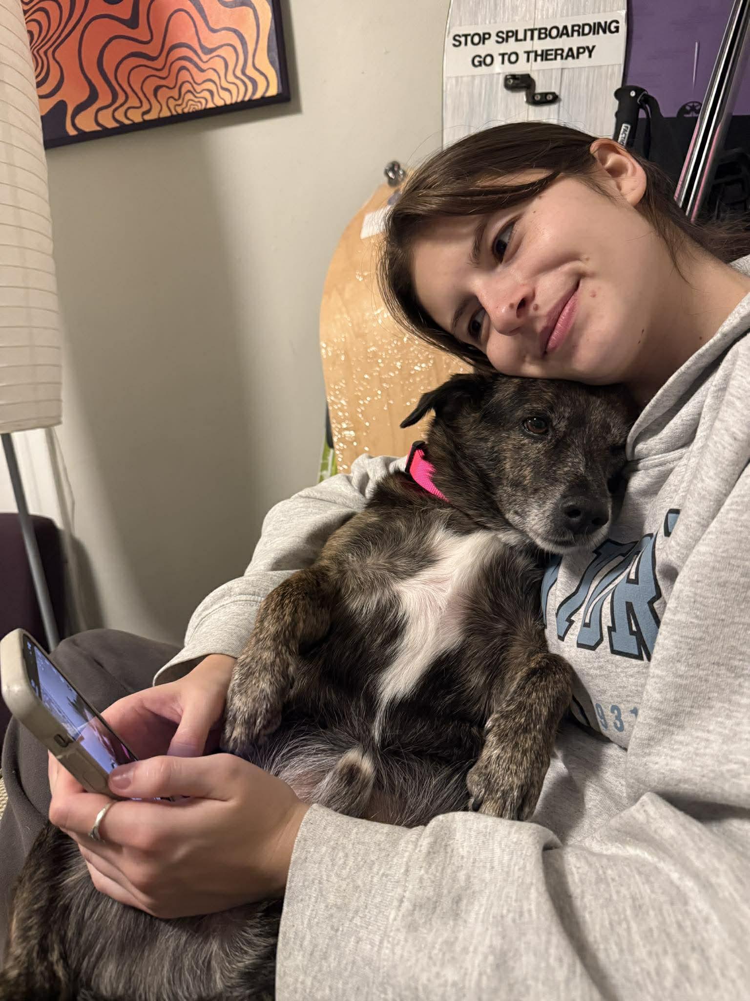 Enlarge Charlie, a ADOPTABLE mixed breed in Groton, VT image 2/5
