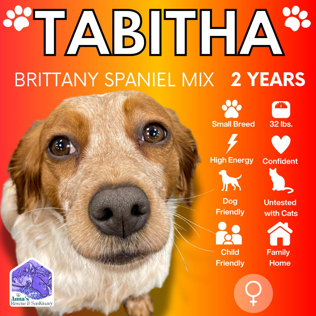 Tabitha
