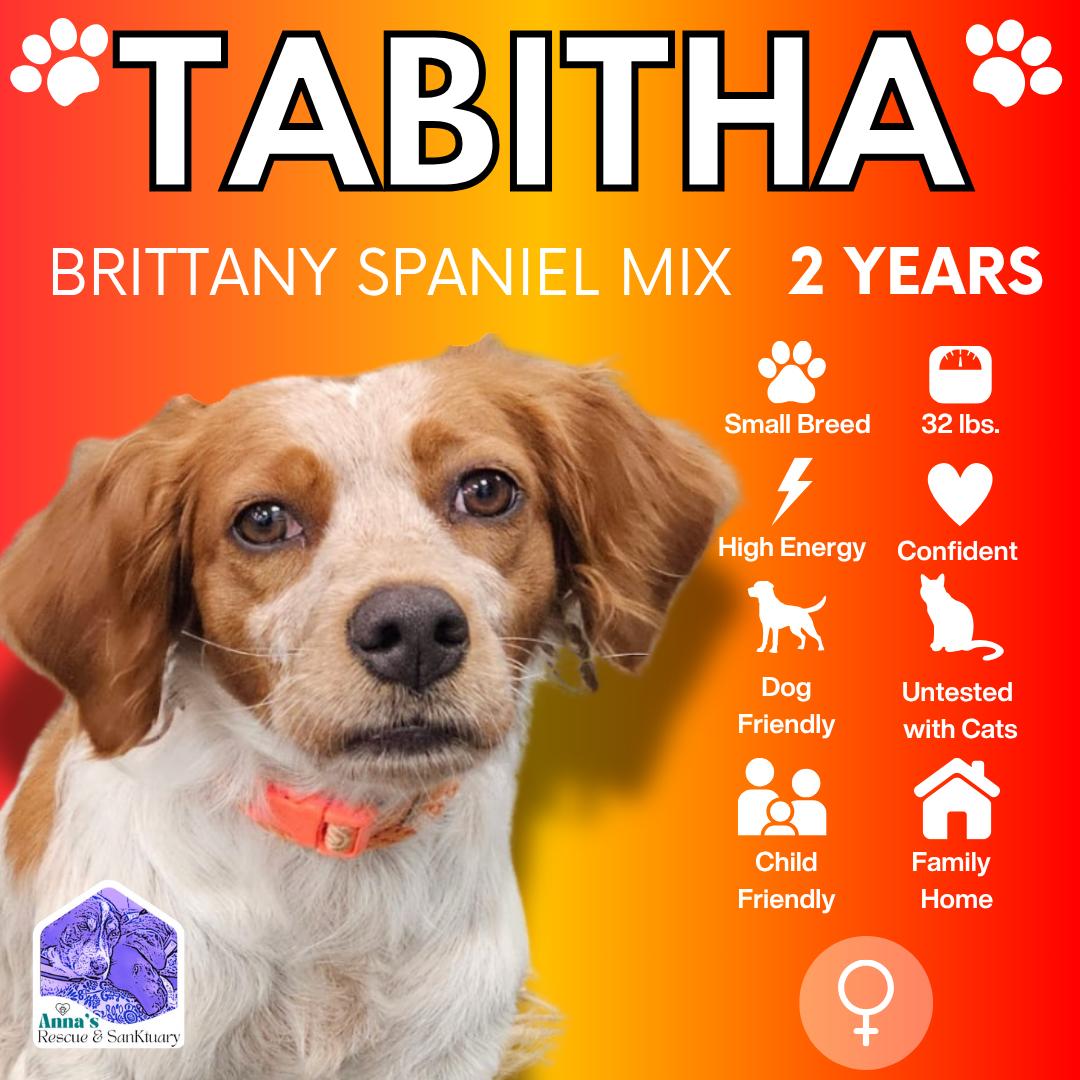 Tabitha
