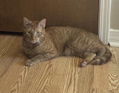 Aspen — thumbnail 3