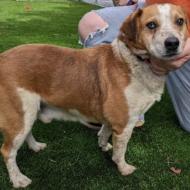 Handsome Ned thumbnail 2