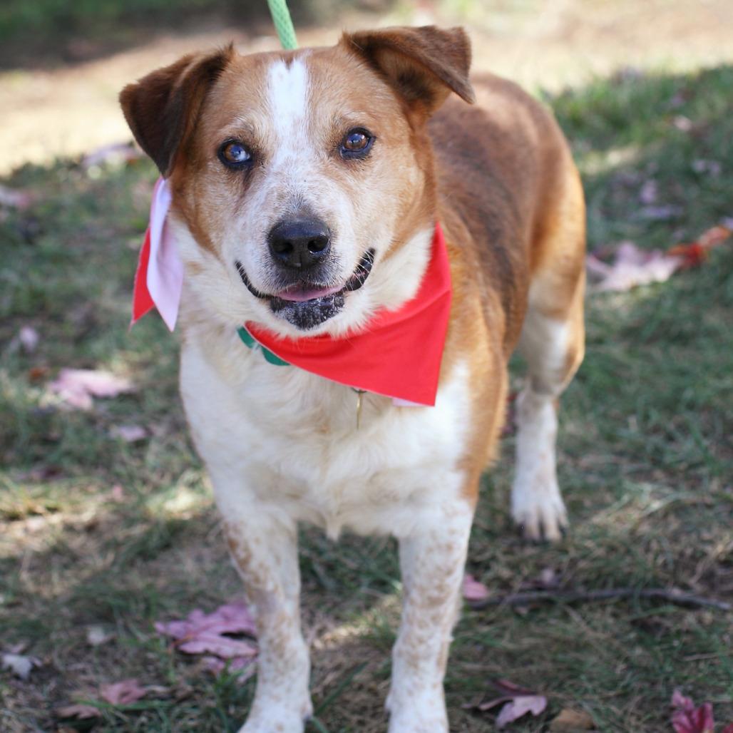 Handsome Ned — thumbnail 3