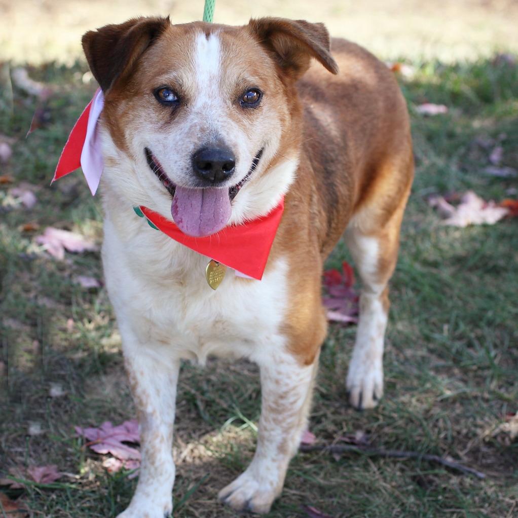 Handsome Ned — thumbnail 4