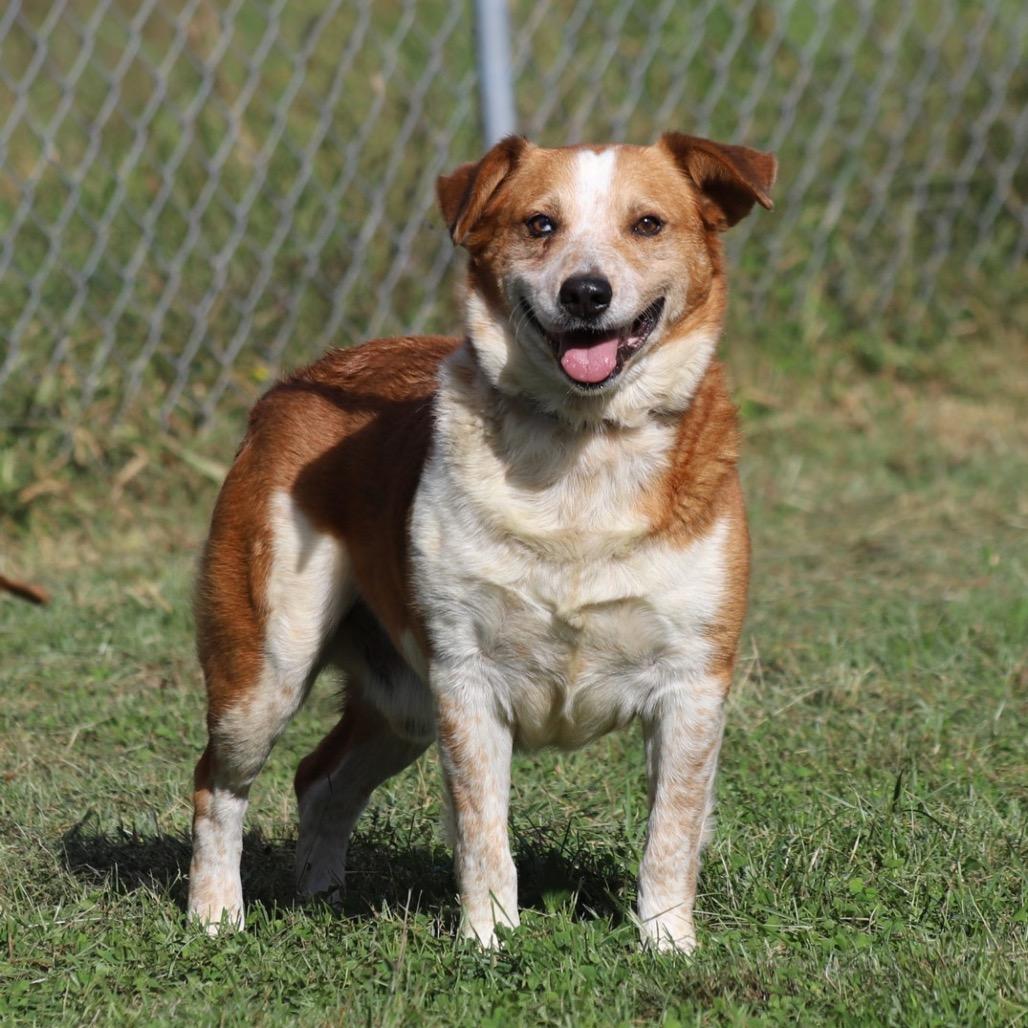 Handsome Ned thumbnail 3