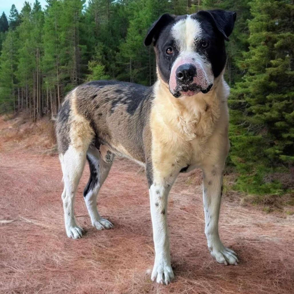 Winslow — thumbnail 2