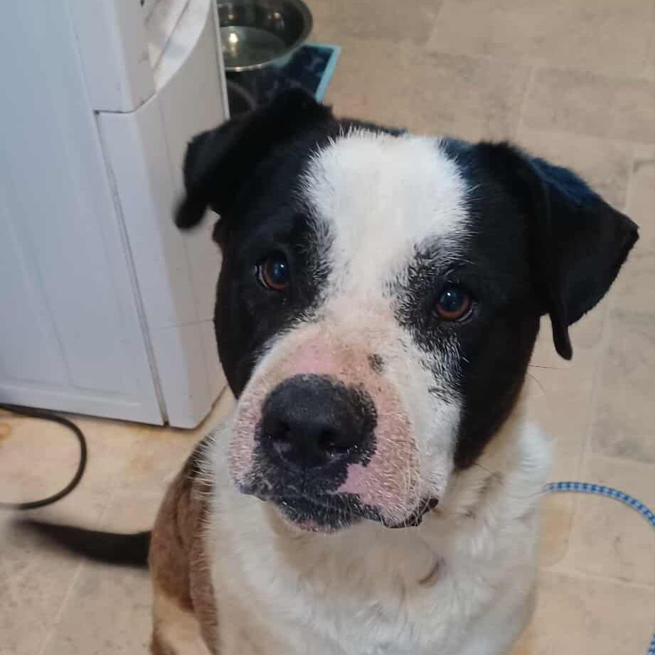 Winslow — thumbnail 3