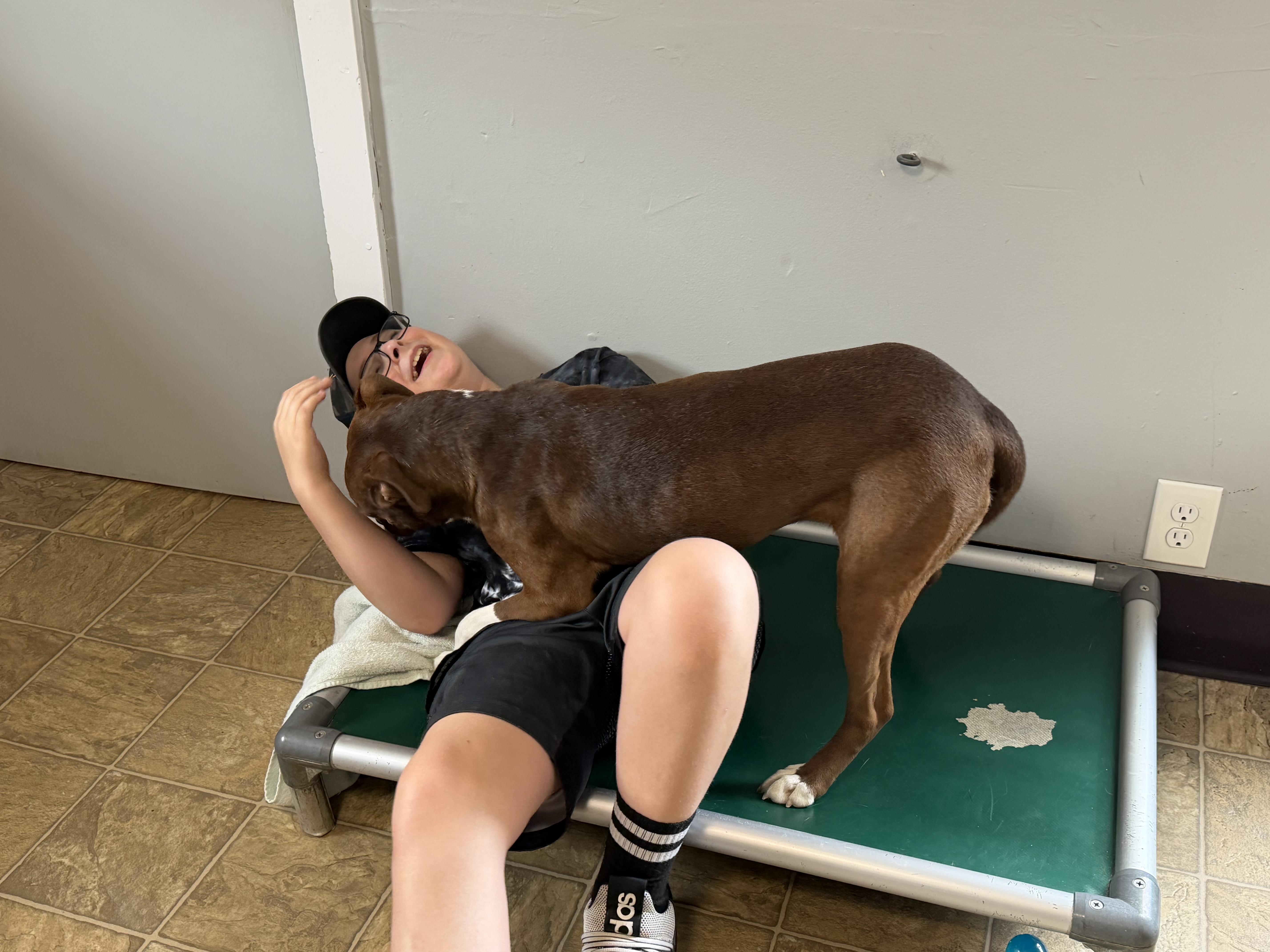 Enlarge Ellie, a Adoptable mixed breed in Oxford, MI image 5/6