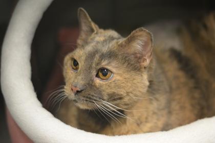 Stormy — thumbnail 2