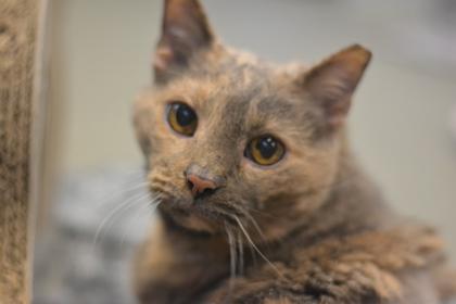 Stormy — thumbnail 3