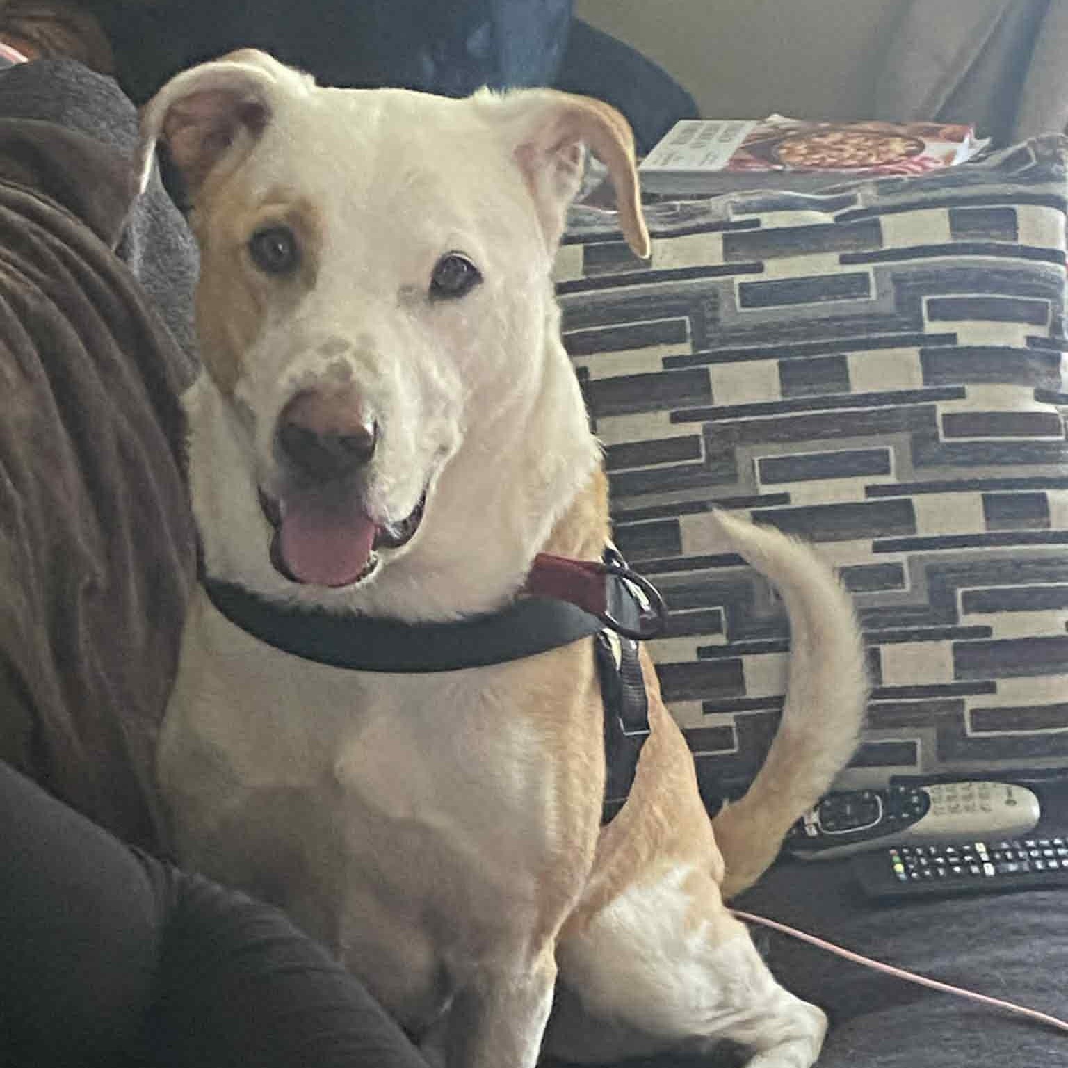 Photo of Charlie