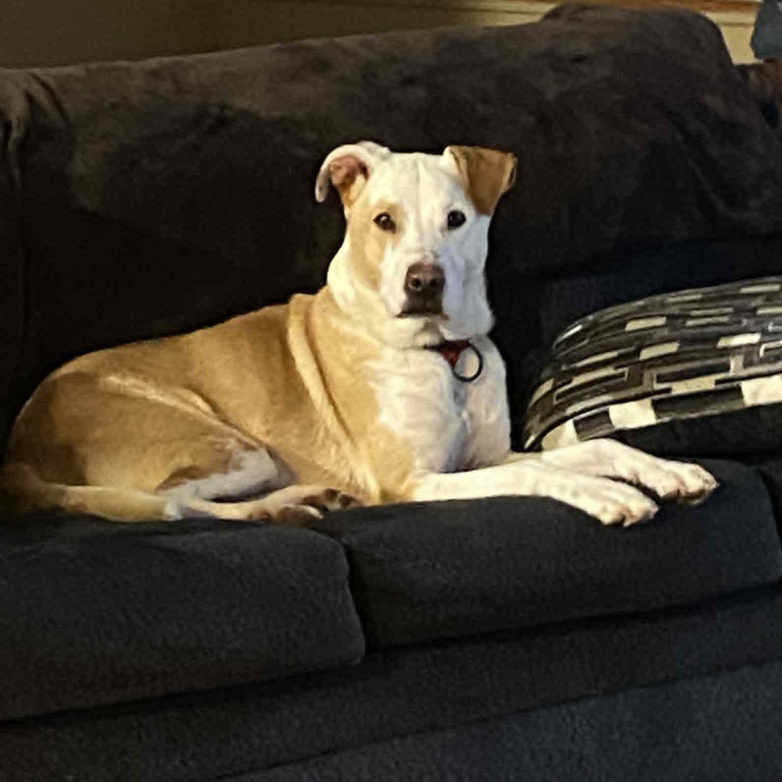 Photo of Charlie