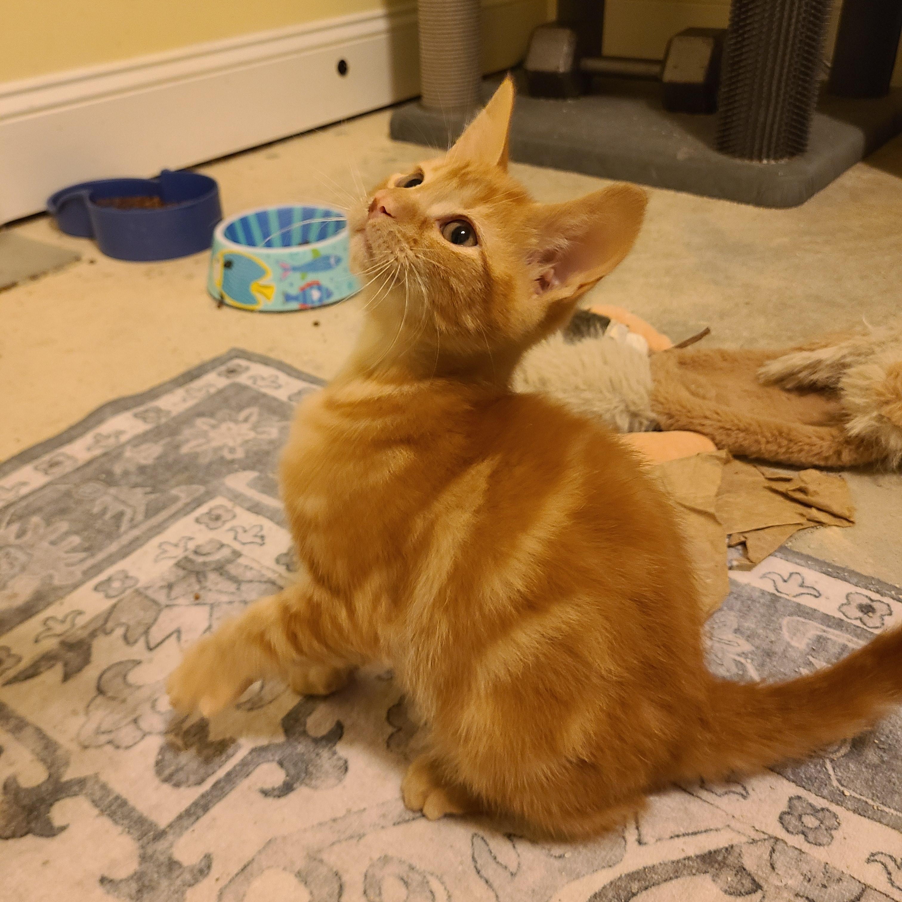 Vandalism  - Winterville, GA