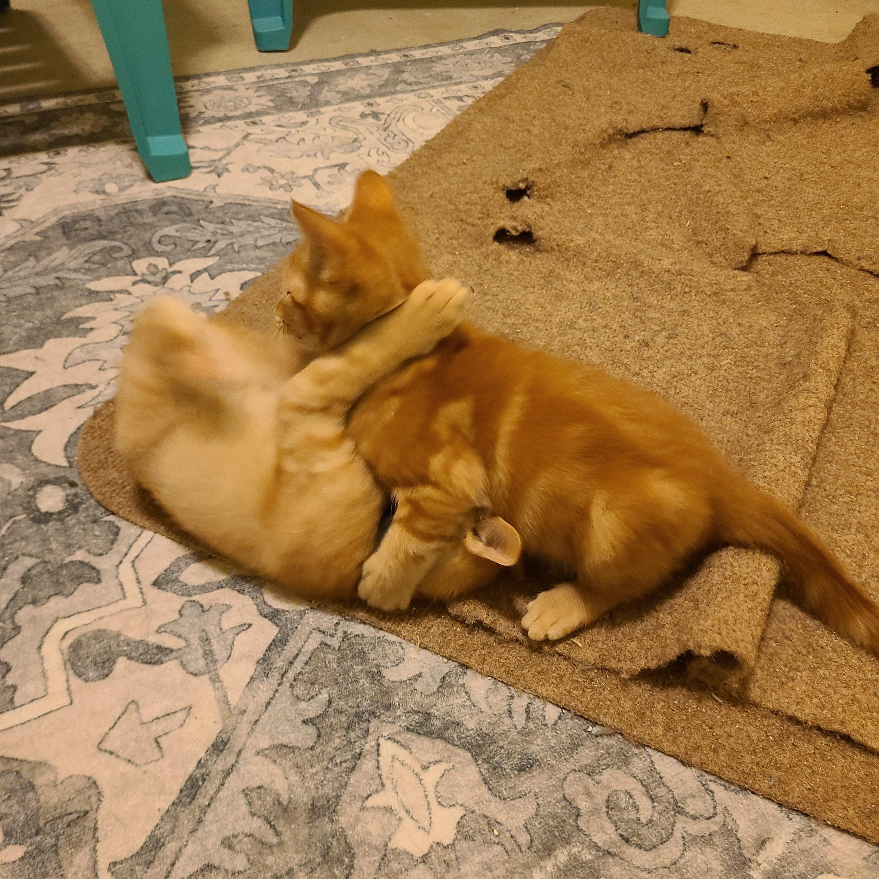 Vandalism  - Winterville, GA