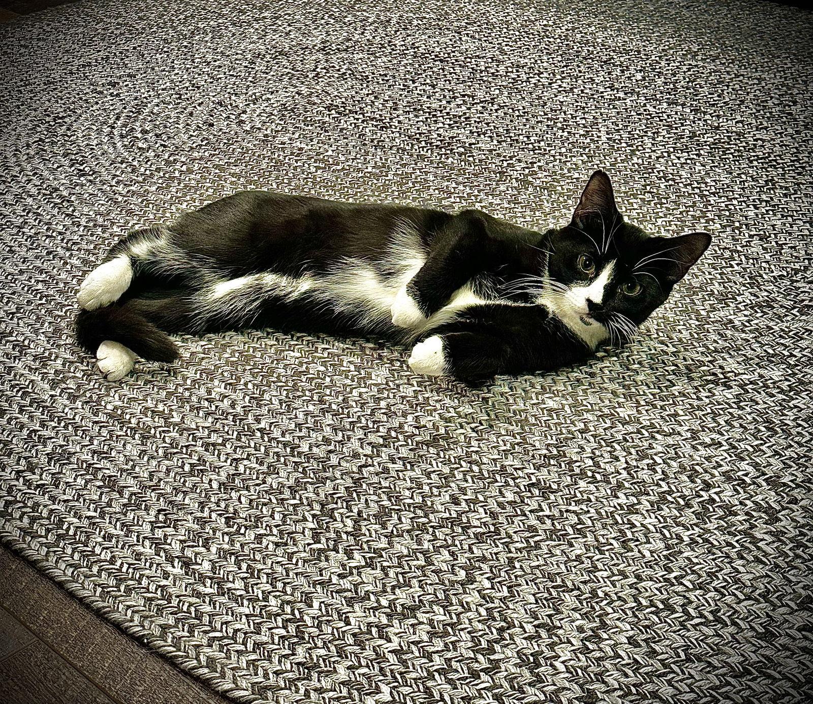 Mabell — thumbnail 3