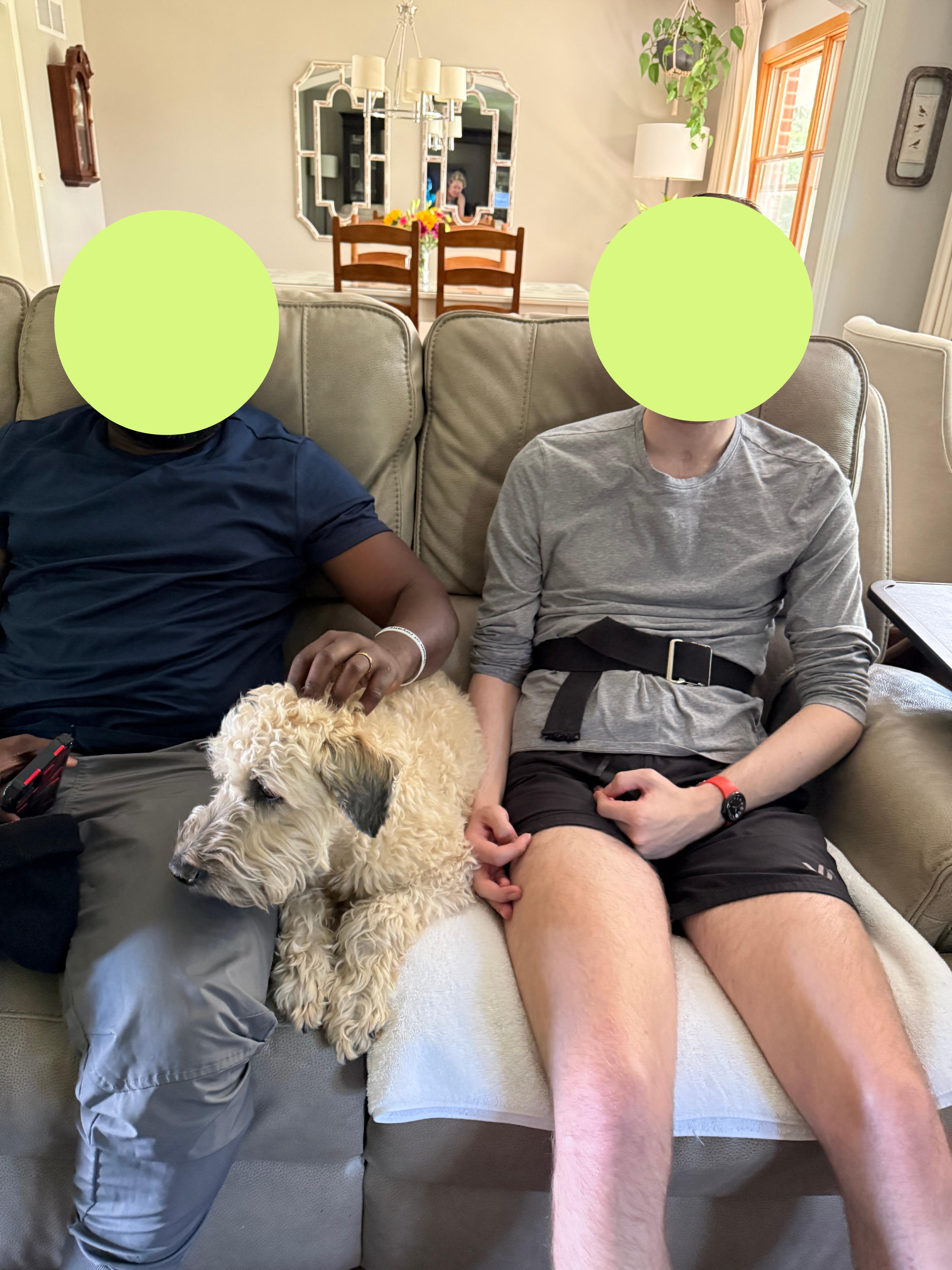 Gus, a Adopted Wheaten Terrier in Omaha, NE image 4/5