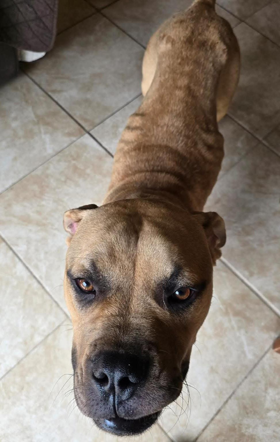Capone