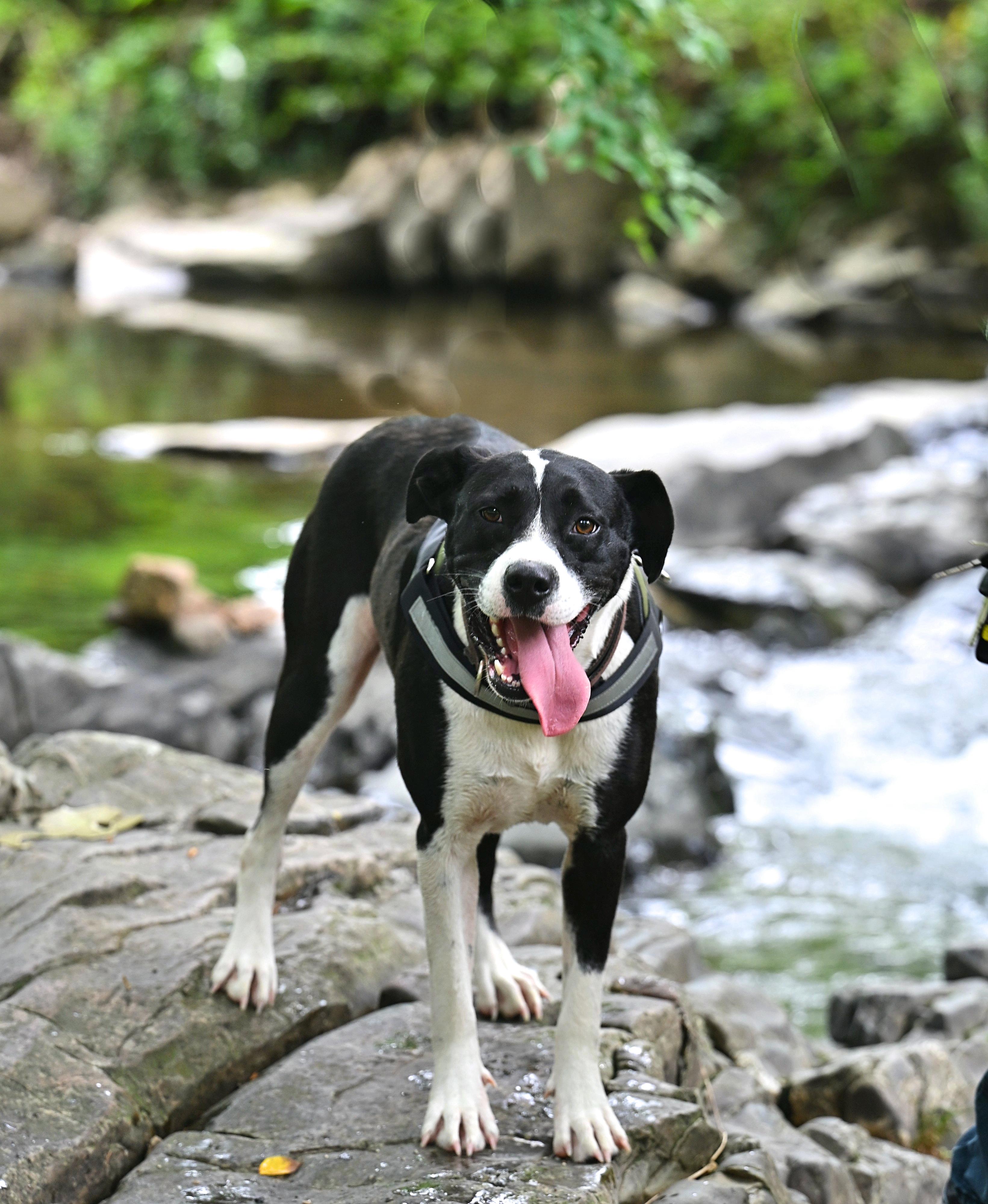 Miss Charlie photo 1