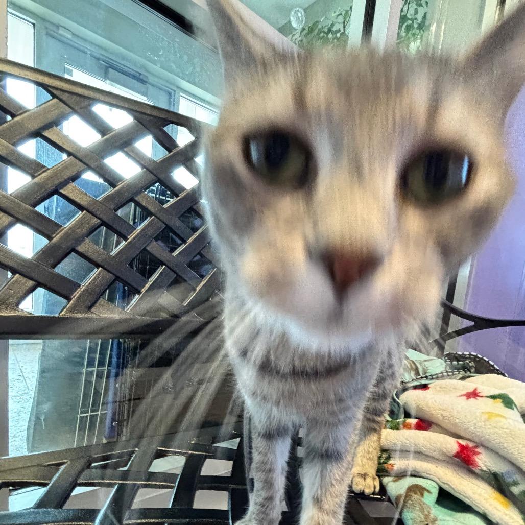 Tipsy — thumbnail 2