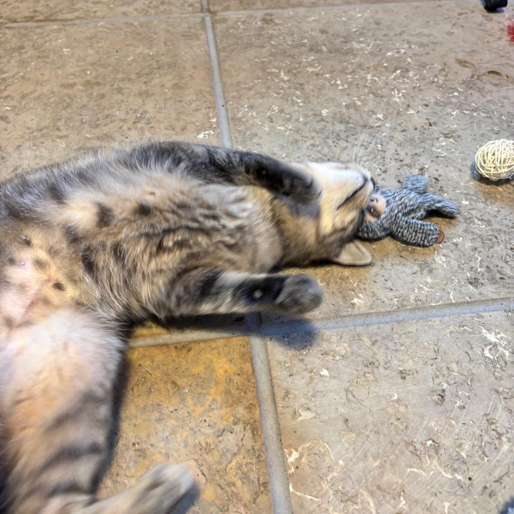 Tipsy — thumbnail 6