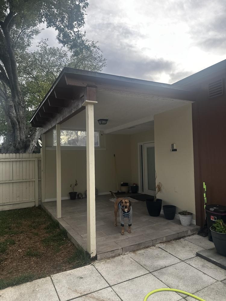 Bua, a Adoptable mixed breed in Orlando, FL image 2/2