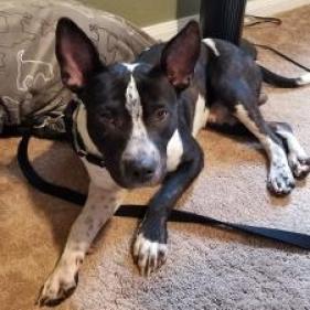 Mason — thumbnail 2