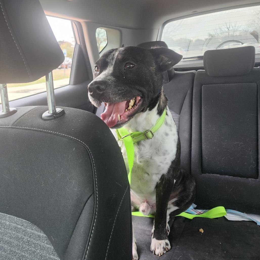 Mason — thumbnail 3