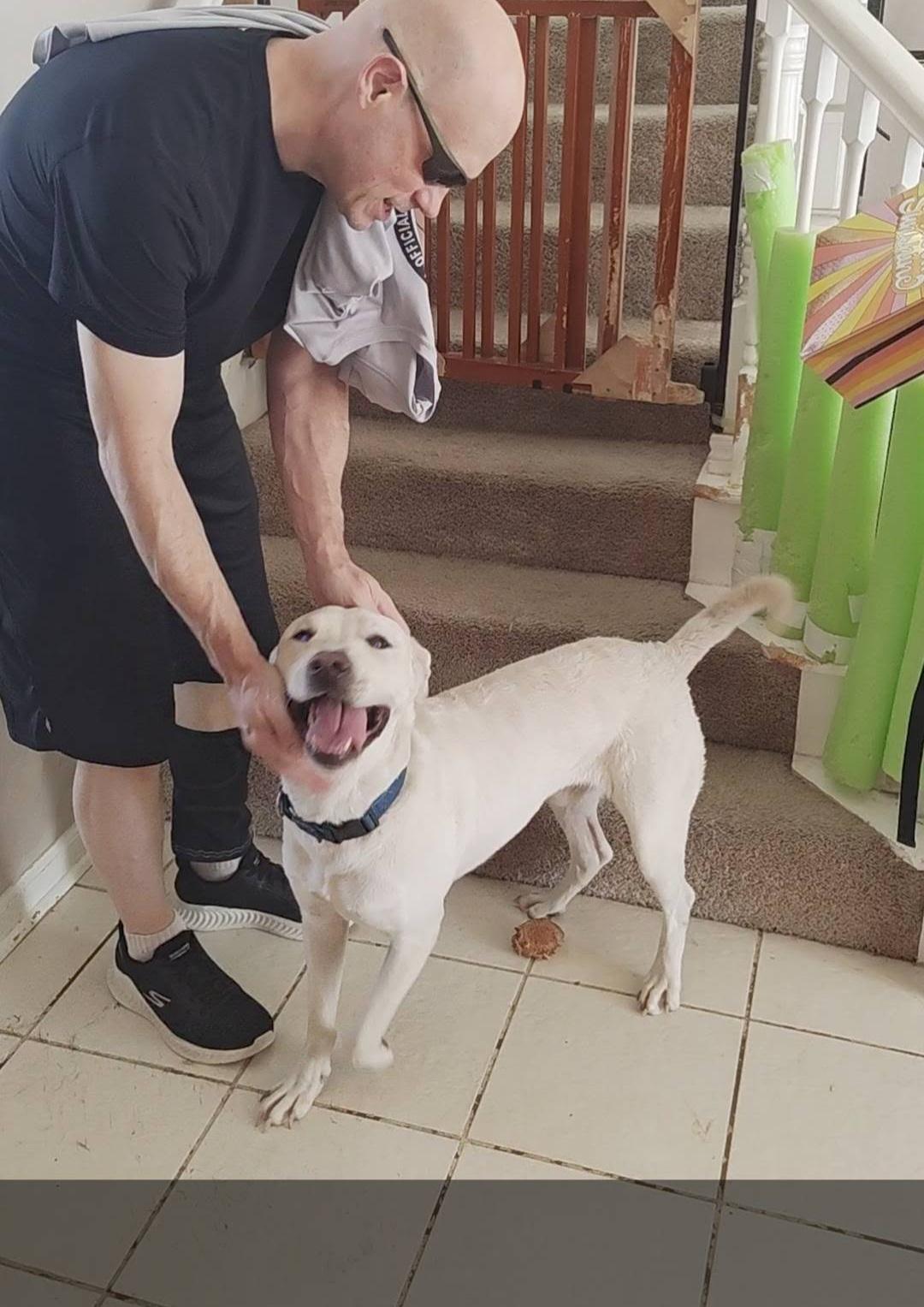 Larry, a Adoptable mixed breed in Plano, TX image 1/3