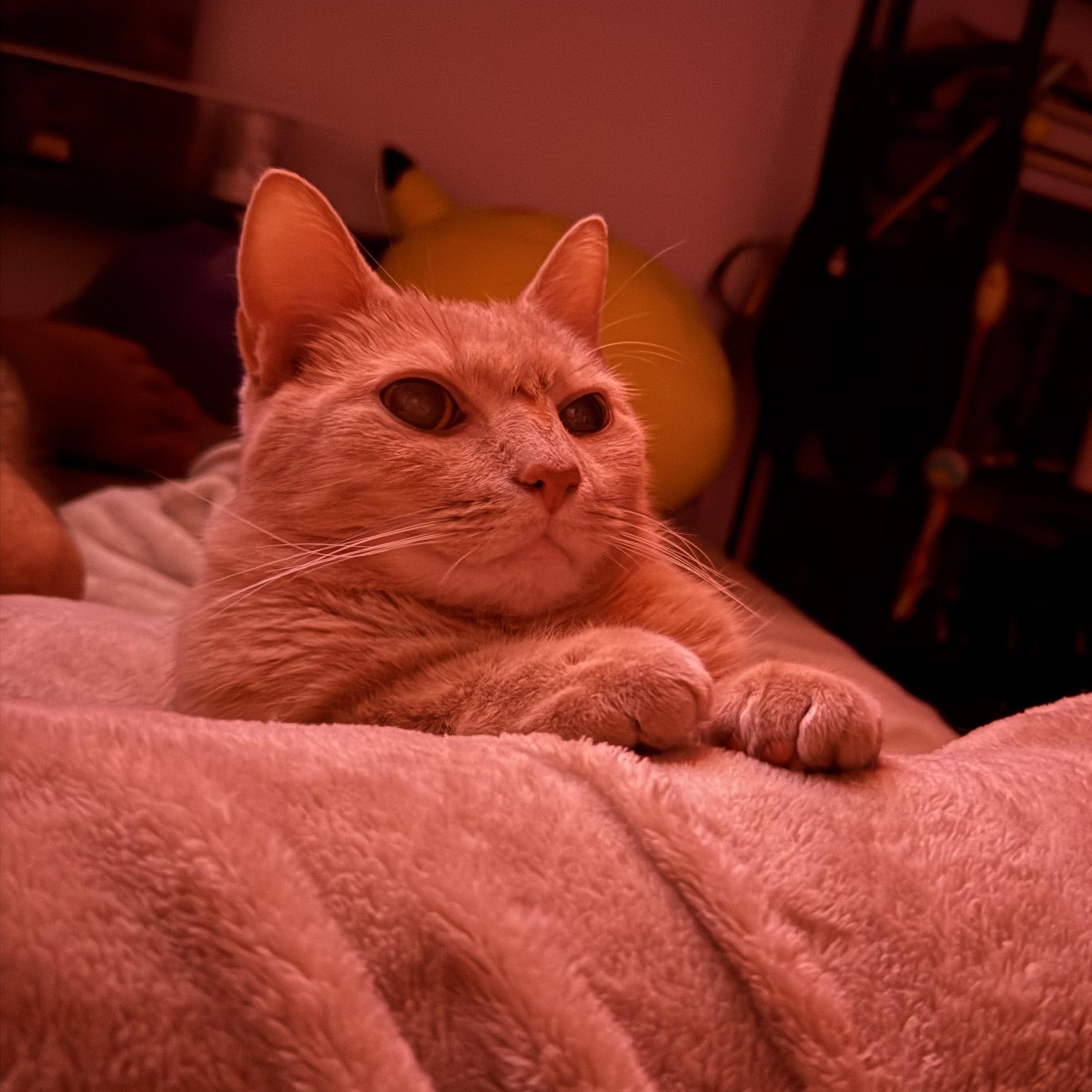 Arthur