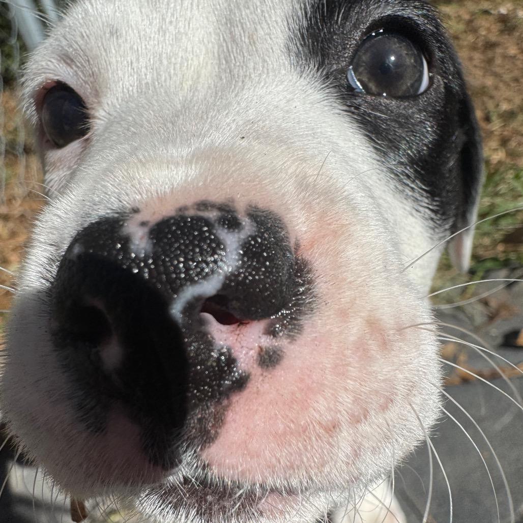 Lani — thumbnail 4