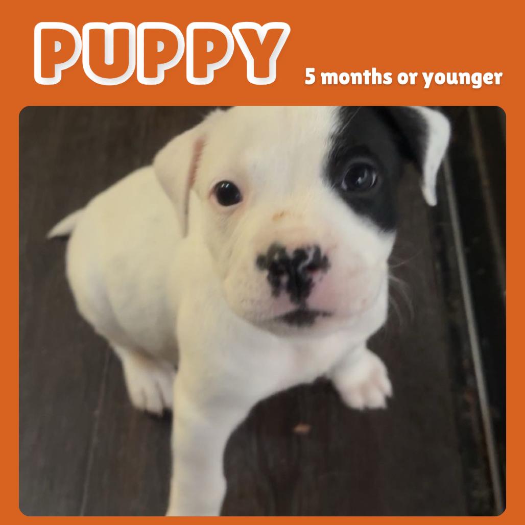 Lani — thumbnail 5