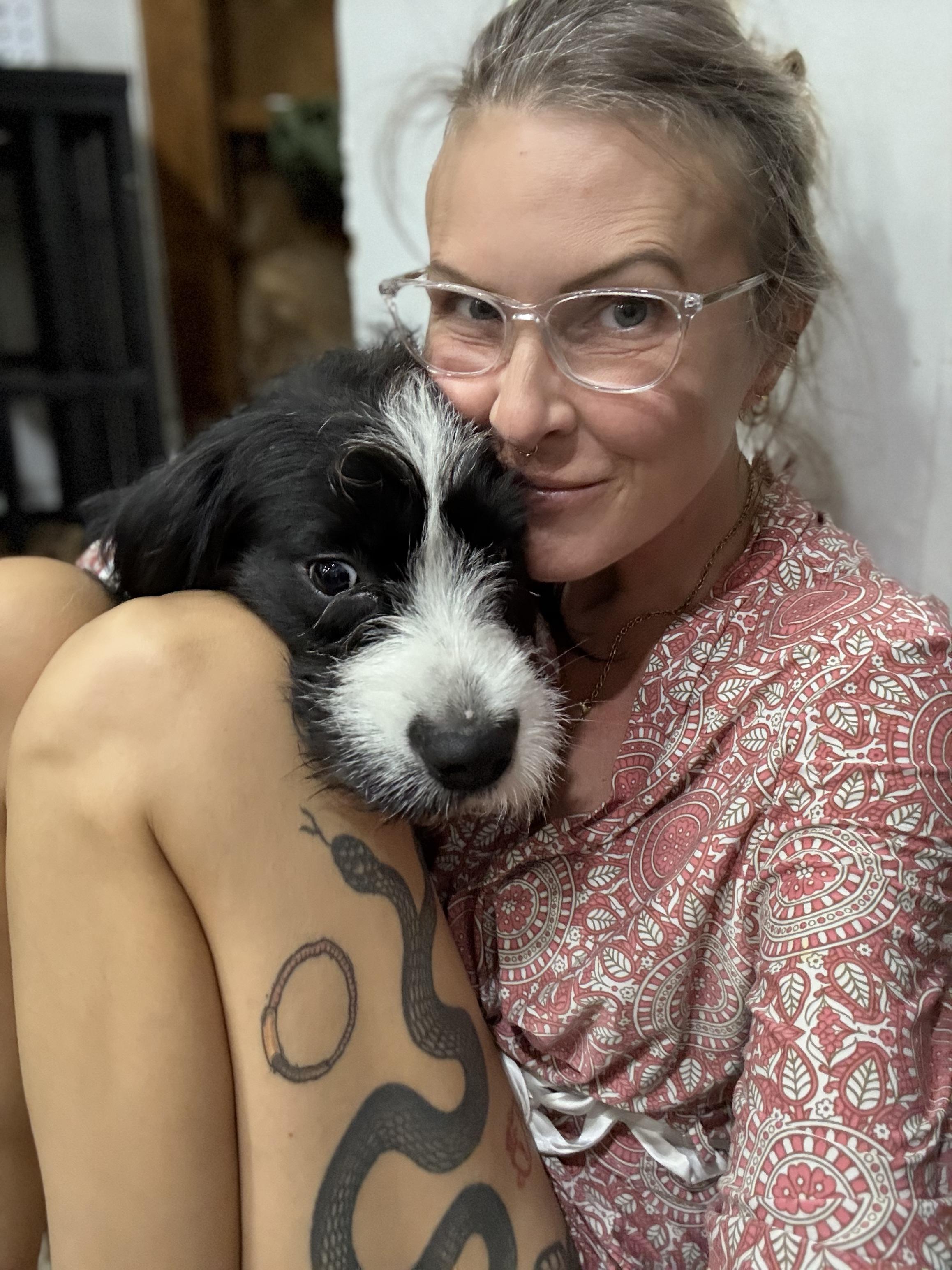 Enlarge Jeeves, a Adoptable Border Terrier in New Orleans, LA image 2/4