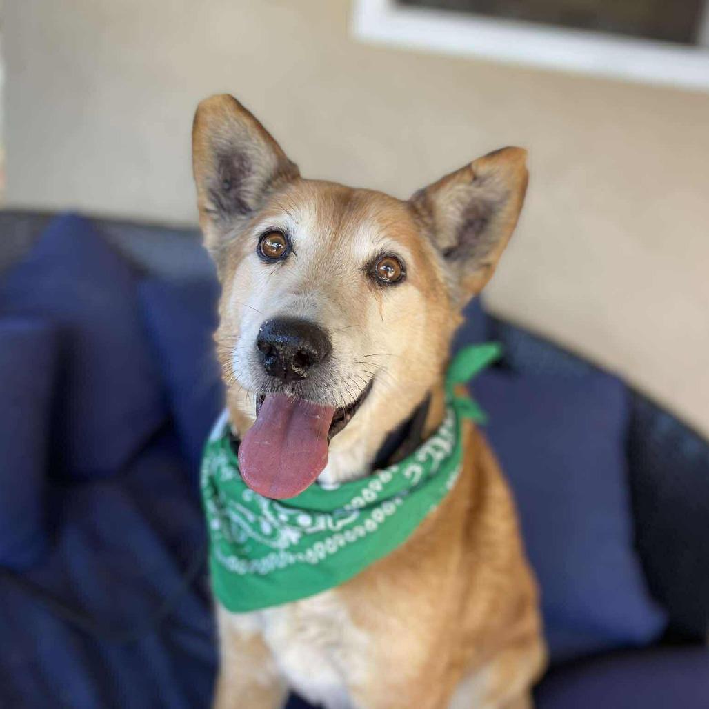 Kody — thumbnail 2