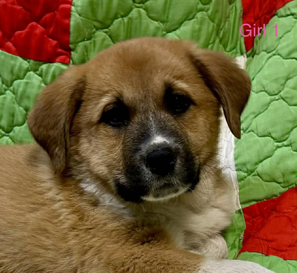 Jessie Jackpot — thumbnail 2