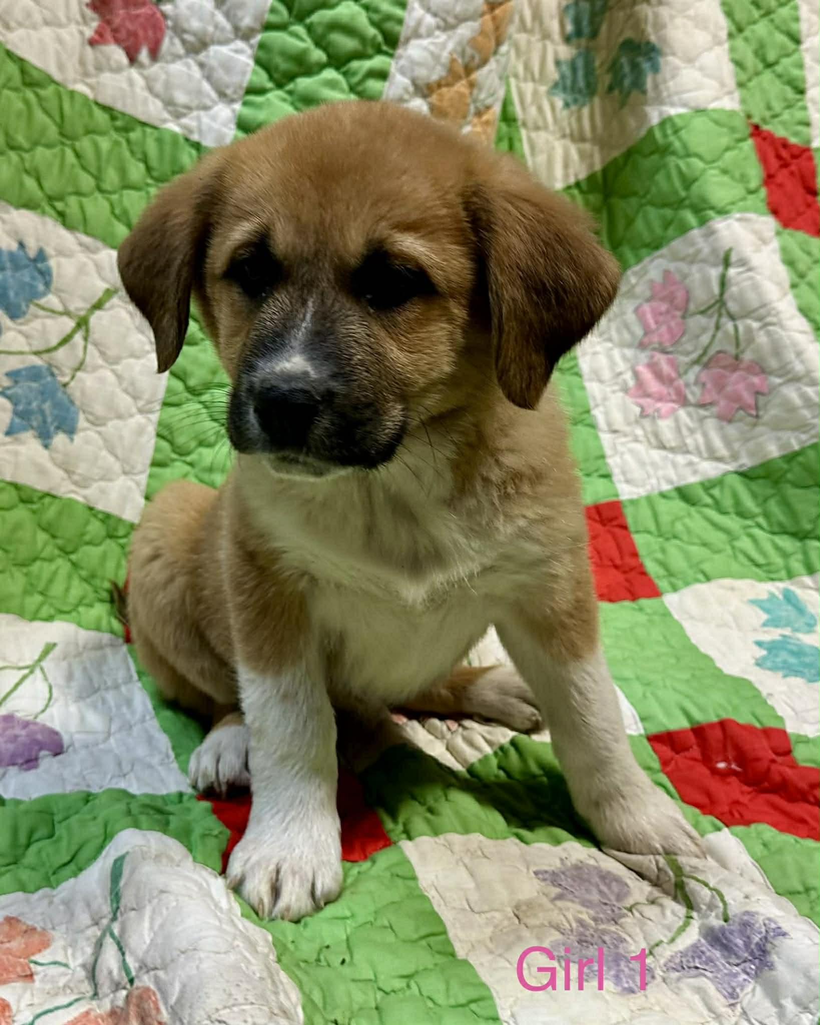 Jessie Jackpot — thumbnail 4