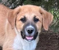 Jessie Jackpot — thumbnail 5