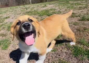 Jessie Jackpot — thumbnail 6